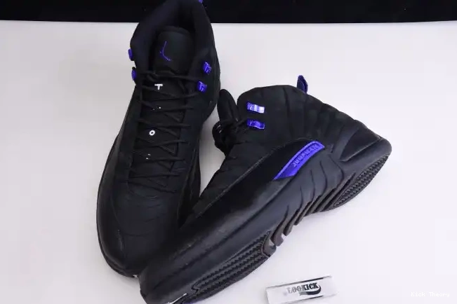 Kicktheory Air Retro 'Dark 12 CT8013 Concord' 005 Jordan 0524